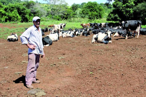 Estiagem castiga pecuária de leite e preço dispara aos consumidores