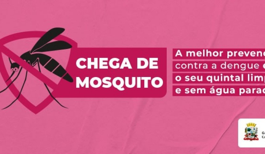 Capitão Leônidas Marques vai intensificar combate à dengue com aplicação de fumacê