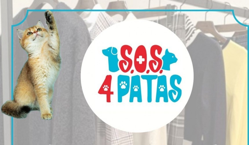 Bazar beneficente para arrecadar fundos vai ser promovido pela S.O.S. 4 Patas no dia 09 de março