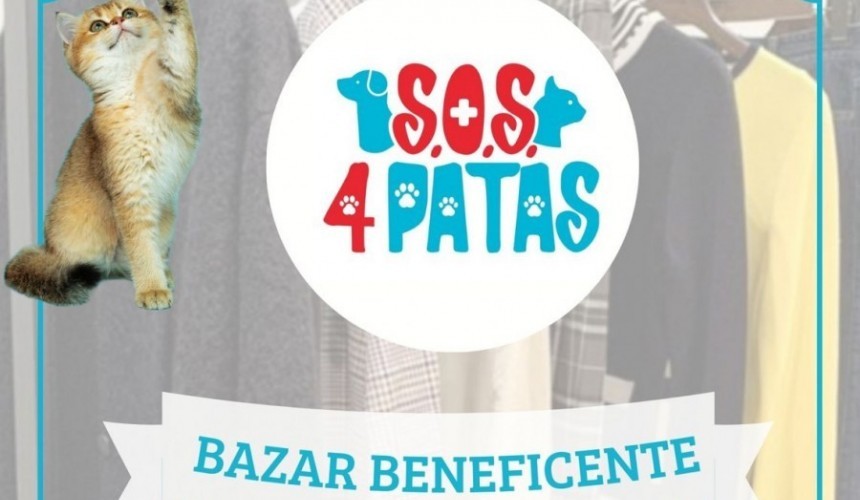 Bazar beneficente para arrecadar fundos vai ser promovido pela S.O.S. 4 Patas neste sábado (09)