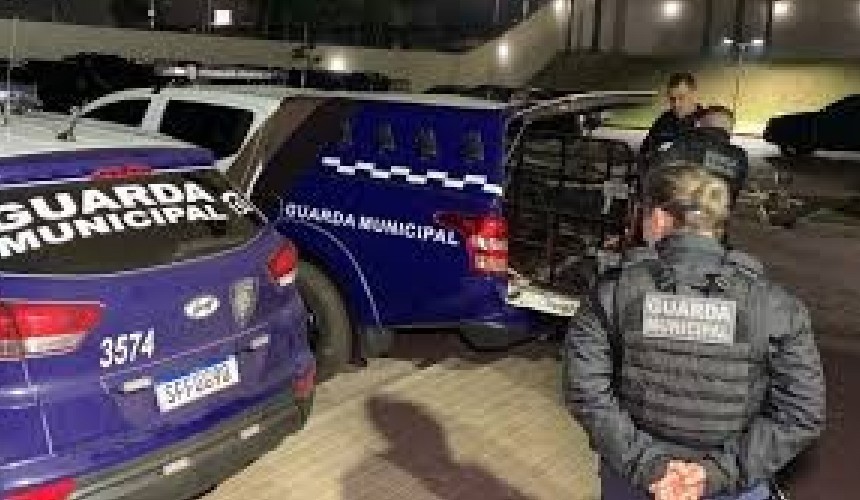 Vereador de Toledo é preso após disparos de arma de fogo em área rural