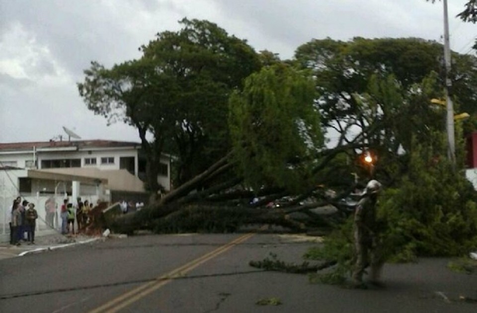 Temporal causou estragos no Oeste e Sudoeste