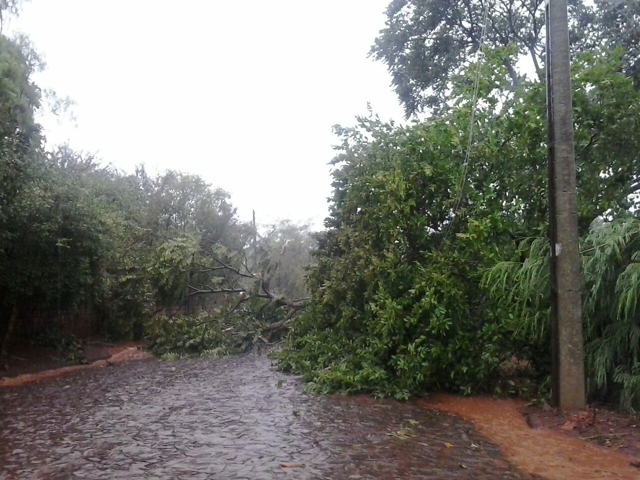 Vento causa danos em Boa Vista da Aparecida